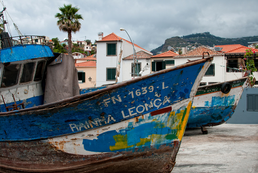320_Madera_Camara de Lobos.jpg